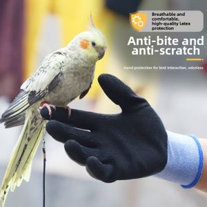 Terrain Kun | Bite-resistant Training Gloves for Pets Small