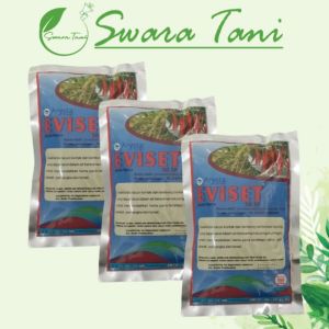 Insektisida Kontak Eviset 50 SP Tiosiklam Hidrogen Oksalat 100gram