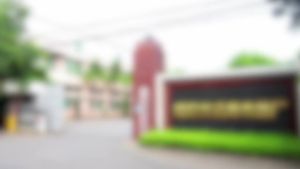 Penghantaran dari China [2025] Tukul Pengering Rambut Internet Selebriti Asrama Isi Rumah Kuasa Tinggi Panas dan Sejuk Perlindungan Terlalu Panas Angin Pemborong  Borong 3.8