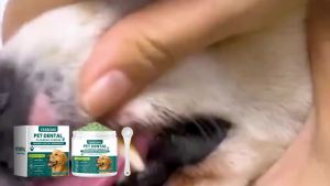 YEGBONG | 100G Pet Dental Cleaning Powder Natural Formula Cleaning Teeth Stains Prevent Plaque Eliminate Bad Odors Mild Pet Teeth Cleaner