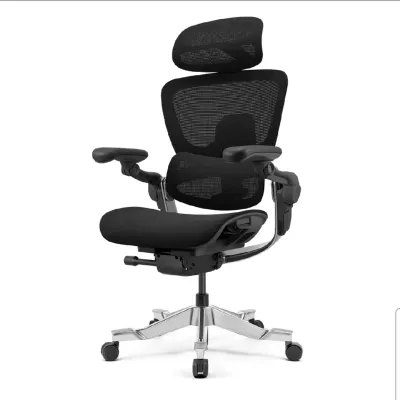 Hinomi H2 Pro Ergonomic Office Chair with Lumbar Support and Leg Rest Mesh Home Office Chair with Adjustable Backrest Gaming Chair