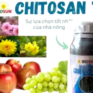 Nano Chitosan BioSun 5% 500ml Tăng Đề Kháng Cây Trồng Phục Hồi Rễ Giảm Nấm Bệnh Mùa Mưa
