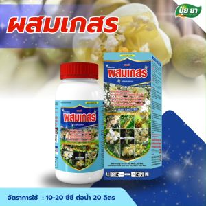 ผสมเกสร ขั้วเหนียว ติดผลดก ยาผสมเทียม ยาแปลงเพศ ฮอร์โมนพืช ดอกสมบูรณ์ สูตรไม้ผลปุ๋ยยา 1 ลิตร