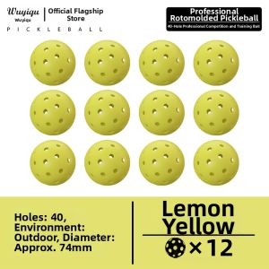 WUYIQU | Professional 40-Hole Outdoor Pickleball