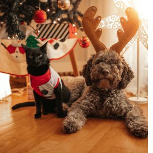 Woofy Play & Bath Set – Includes Free Gift Worth RM19.90