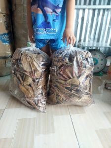 1 bọc lá bàng khô to ( rất nhiều lá) organic