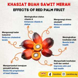 Red Palm Fruit Cooking Oil(better health/high carotene/rich in vitamin E)500ml [Carotino]