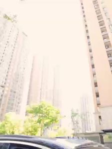 Gối tựa đầu bằng bông Suitu kiểu dáng MayBach