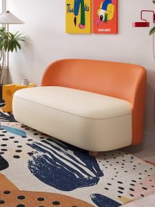 2025 New Narrow Version Sofa Color Block Reception Resting Chair for Homestay Clothing Store Popular Double Seat Small Sofa Chair