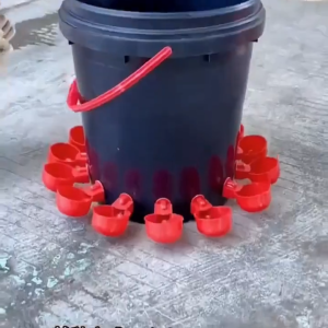 40pcs Automatic Chicken Water Cup Waterer Kit Water Dispenser for Poultry Chicken Drinking Bowl Drinking Water Quail Poultry Automatic Water Dispenser Duck and Pigeon Free range Chicken Chick