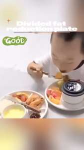 Breakfast Plate Divided Barbecue Picnic Tray Portion Control Plate for Healthy Eating Dinner Plate