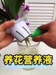 Houseplant Suitable Universal Liquid Fertilizer