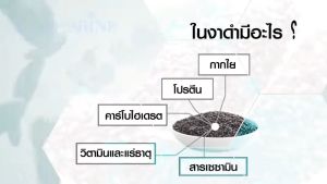 เซซามิ เอส  กิฟฟารีน Sesame-s 🖤สารสกัดจากงาดำผสมข้าวกล้องหอมนิลงอก วิตามินซี ซีลีเนียม แบบแคปซูล