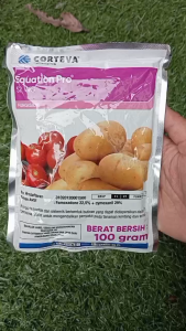 Fungisida Equation Pro 52WG 100gram