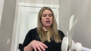 Ceiling Fan Lights E27 Screw With Remote Control Memory Function 3 Color Temperatures Timer 3 Speed Chandelier Ceiling Fan