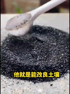 100g土壤活化剂 Soil Activator Promote Rooting Soil Remediation Promote Fruiting succulent Soil Seeding Soil Tanah Semaian 土壤活化剂土壤活化宝微生物矿源黄腐酸钾菌肥调理土壤板结松土精