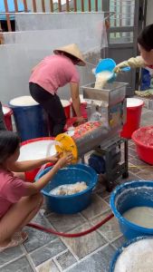 Tinh bột sâm tố nữ khô nguyên chất tăng vòng 1 thượng hạng xay lọc thủ công từ củ sâm tố nữ tươi sản sinh collagen tăng cường nội tiết