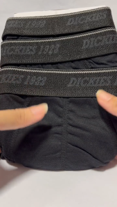 Dickies Mens Hipster Brief Size Large
