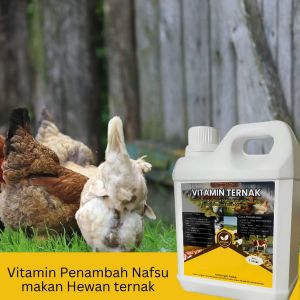 Vitamin penggemuk Ayam paling ampuh Booster Ayam cepat besar gemuk Sehat