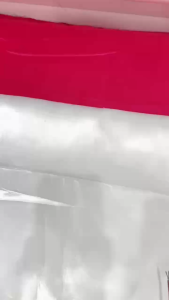 YEELITE Ultra Thin LED Ceiling Light Pin Light Panel Lights 3-TONE Selectable 9W/12W/15W/24W LED Recessed Downlight for Living room Bedroom Bathroom Office