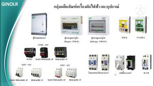 CT Electric - SPD อุปกรณ์ป้องกันฟ้าผ่า/ไฟกระโชก 1P 2P 3P 4P (Surge Protective Device แบบ Din Rail )
