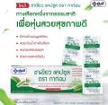 ยันฮี ชาเขียว แคปซูล ตรา กาท่อม ผลิตภัณฑ์เสริมอาหาร. 