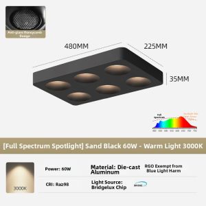 DENGFU | Anti-dazzle Full Spectrum Intelligent Ceiling Light