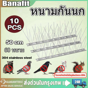 พร้อมส่ง! หนามกันนก หนามไล่นก ไล่นกพิราบ กิ่งสแตนเลส ที่ดักนก ยาวเส้นละ 50 ซม.หนาม 30 คู่ กันนกพิราบ Bird Spikes กันนกเกาะ อุปกรณ์ไล่นกทำรัง ทนทาน อุปกรณ์ไล่นก หนามไล่นก ตาข่ายกันนก หนามกันนกพิราบ