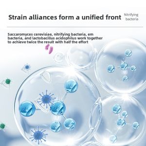 200ml/500ml Methylene Blue Concentrate-3-in-1 Aquarium Water Purifier for Disinfection White Spot Fungus Treatment Fish Medicine