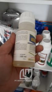 Insektisida Buldok 25 EC: Obat Pembasmi Hama Ulat Tanaman