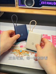 3C Certified Xiaomi PowerBank 10000mAh 33W Fast charging Original Large Capacity Portable Built-In Type-C cable