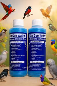 Sangee water minuman kekuatan dan kesihatan burung made in thailand