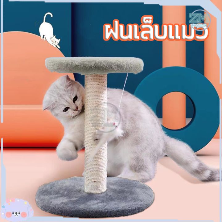 ที่ลับเล็บแมวคอนโด 2 ชั้น