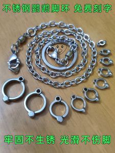 Stainless Steel Bird Leg Chain Lightweight Detachable for Parrot Cockatiel Lovebird African Grey Parrot Safety Protection