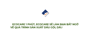 Dầu Gội Thảo Dược Chiết Xuất Bồ Kết Và Vở Bưởi Ecocare 300ml Chăm Sóc Tóc Kích Thích Mọc Tóc  Giảm Gãy Rụng Hỗ Trợ Trị Gàu An Toàn