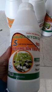 Xạ Khuẩn Trừ Bệnh Héo Xanh Chết Cây Con Lỡ Cở Rễ Khô Vằn - VALIDAMYCIN 10SL - Chai 900ML