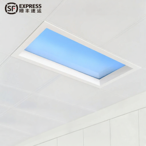 WANLIYANG | Smart Natural Light Kitchen Bathroom Corridor Ceiling Lamp