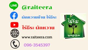 6 ส่วนตัว "กล้วยน้ำว้าเตี้ย กล้วยค่อม 100 ชุด เท่านั้นเดือน / #มีเพียง100ชุดเท่านั้นเดือนนี้