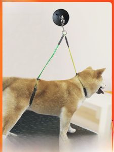 Cat Bathing Fixed Pet Grooming Table Suction Steel Wire Hanging Rope Dog Bathing Fixed Rope Universal Pet Care Tools