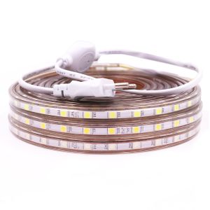 Waterproof SMD 5050 AC220V LED Strip Flexible Light 60leds/m LED LED Lights Lighting Living Room Decor Lamp With EU Plug