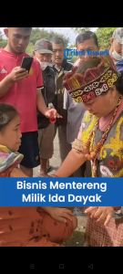 MINYAK URUT DAYAK obat gosok pijat pijit asli Borneo ibu Ida dayak 250ml FREE 5 SACHET TEH BAJAKAH