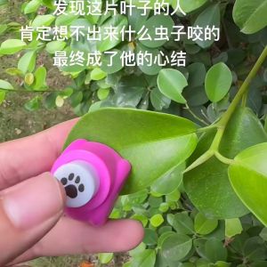 Mini Bear Paw Press Flower Máy in Hình Hoạt Hình Dễ Thương Máy Đục Lỗ Sáng Tạo Đồ Chơi Trẻ Em Máy Ép Hoa Cỡ Nhỏ