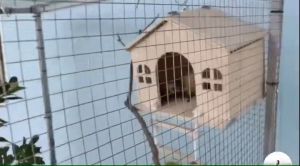 บ้านไม้ชูการ์ บ้านกระรอก บ้านนก เปิดฝ่าบนได้ สไตร์มินิมอล รังนอนสัตว์เลี้ยง (WC12-WC13)