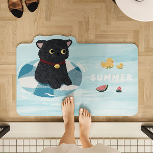 Water-Absorbent Anti-Slip Door Mat