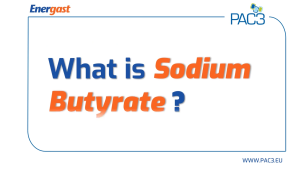 [𝐁𝐄𝐒𝐓 𝐒𝐄𝐋𝐋𝐄𝐑] ENERGAST MAX 30s | Digestive tract care