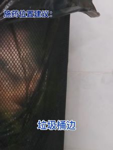 จัดส่งจากกรุงเทพฯ ซื้อ 1 แถม 1 🔥10ปีไม่มีแมลงสาบ🔥8 เม็ด/กล่อง ยาฆ่าแมลงสาบ ยาฆ่าแมลงสาบ ติดเชื้อ1ตัว ตายทั้งรัง กำจัดแมลงสาบ ยากำจัดแมลงสาบ อัตราการฆ่า100%