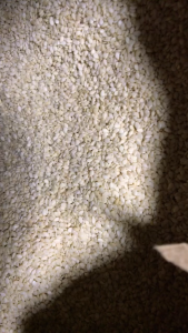 White Sesame Seed 250G/500G/1KG (Premium Quality)