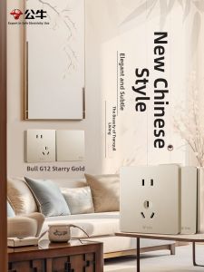 Bull | Chinese Style Dual Control Switch Plate