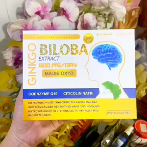 Viên uống GINKO BILOBA  hỗ trợ hoạt huyết tăng cường tuần hoàn máu não ngăn ngừa tai biến đột quị hộp 2lo lọ 30 viên