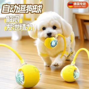 ของเล่นสำหรับสุนัข Smart Automatic Dog Ball Toy พลังงานไฟฟ้า ทนต่อยุยง มีความสนุกสนาน ป้องกันการบiting สำหรับเล่นกับสุนัขขนาดเล็ก